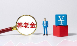 养老保险 2024,2024养老保险政策解读与展望