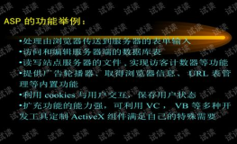 asp开发技术,ASP开发技术概述